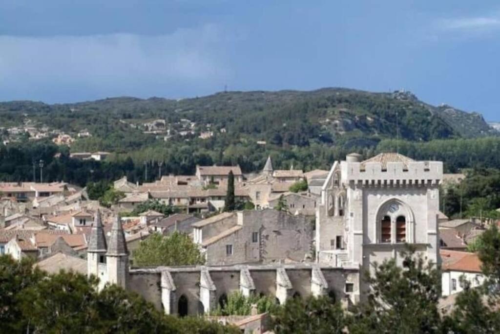 La Cigale - Vieux Village - Charmante Maisonnette Climatisee Avec Jardin Villeneuve-lès-Avignon Kültér fotó